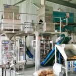 মিলেট স্বয়ংক্রিয় প্যাকেজিং মেশিনের দুটি ইউনিট আমাদের ক্লায়েন্ট কারখানায় ইনস্টলেশন এবং ডিবাগিং সম্পূর্ণ করে