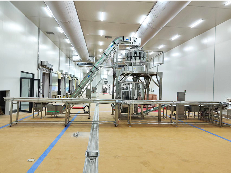 স্বয়ংক্রিয় প্যাকিং মেশিন ফরজেন খাদ্য