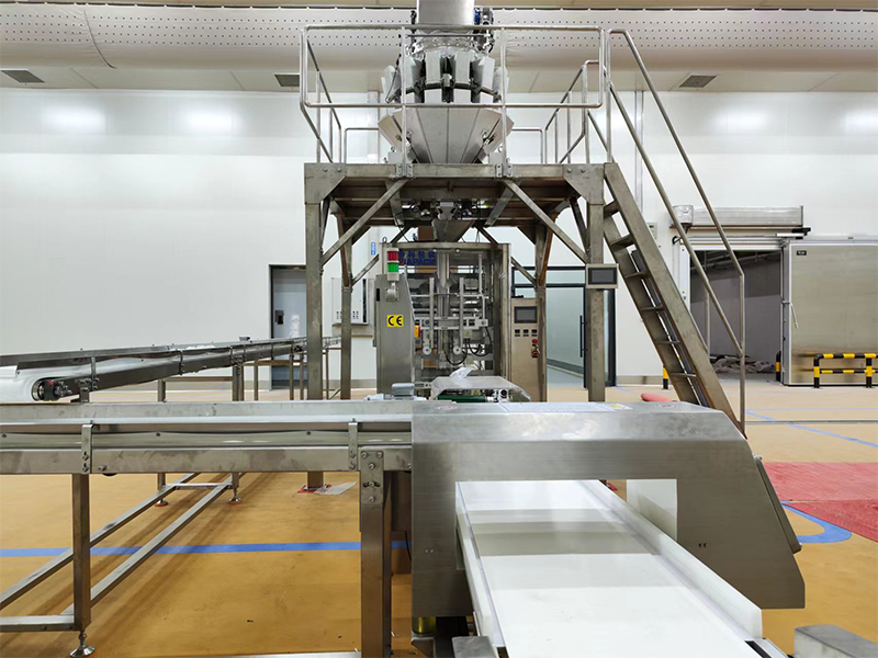 হিমায়িত খাদ্য জন্য স্বয়ংক্রিয় প্যাকিং মেশিন.6