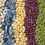 স্বয়ংক্রিয় বীজ প্যাকেজিং মেশিন